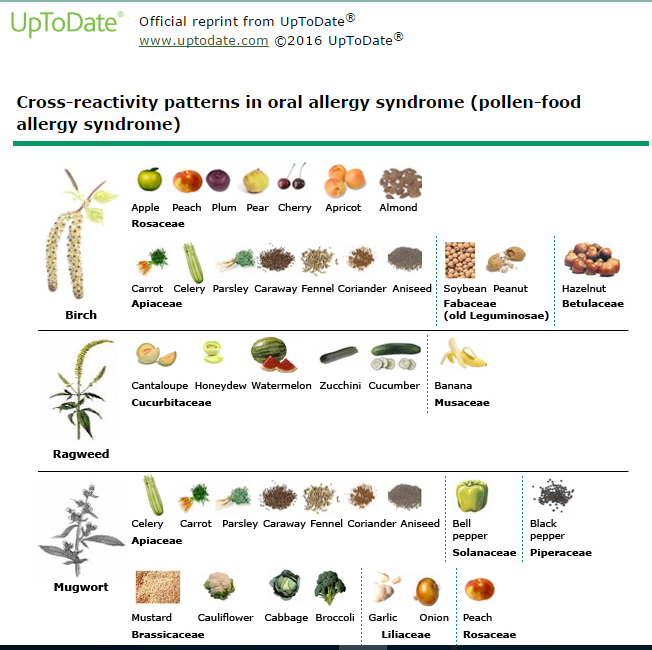 Pollen Food Allergy Chart